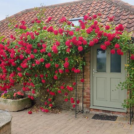 Cosy Studio Cottage Lincoln Exterior photo