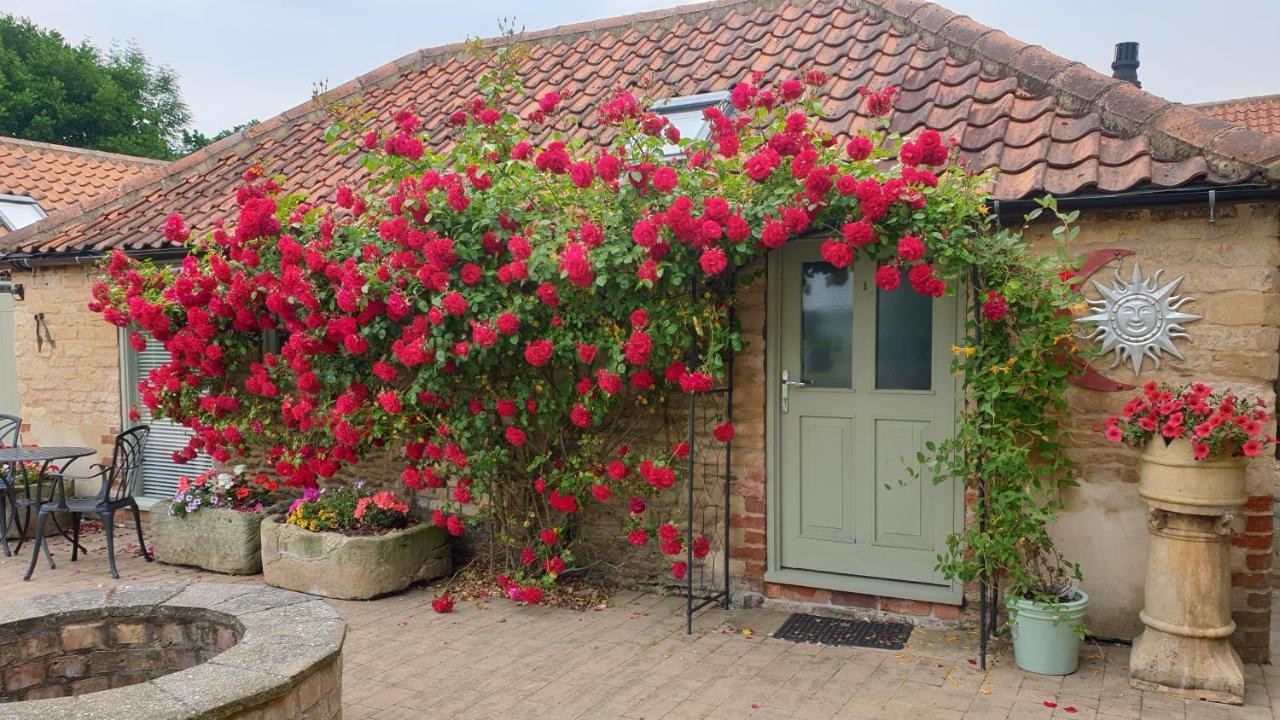 Cosy Studio Cottage Lincoln Exterior photo